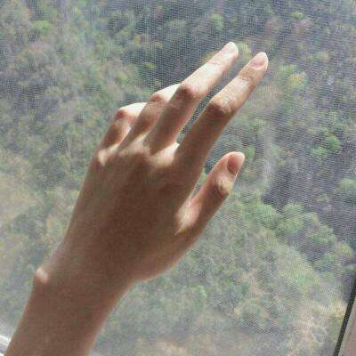 半岛·手机网页版