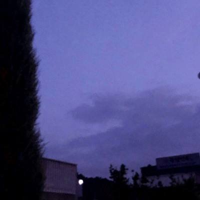 火狐电竞app下载