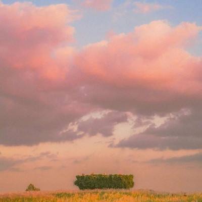 大发彩票app下载手机版