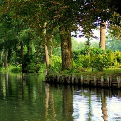 开元88ky游戏大厅