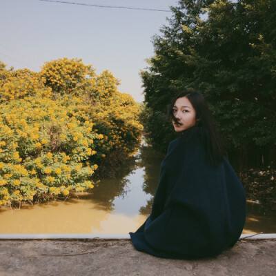 凤凰彩票app下载手机版