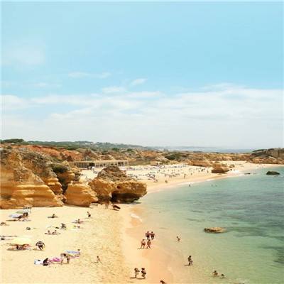 365best体育官网入口