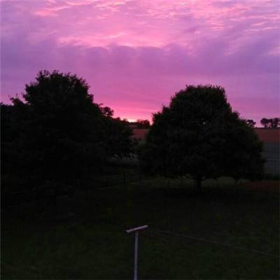 ky体育下载手机版